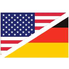 Языковые школы